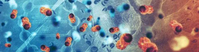 Northern Light EMMC Tumor Board Cancer Conference Banner